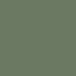 ירוק זית עדין - Western Meadow 0937A
